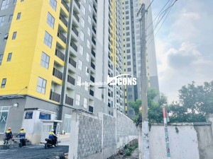 Cập Nhật Tiến độ Bcons Polygon Ngày 2/8/2024